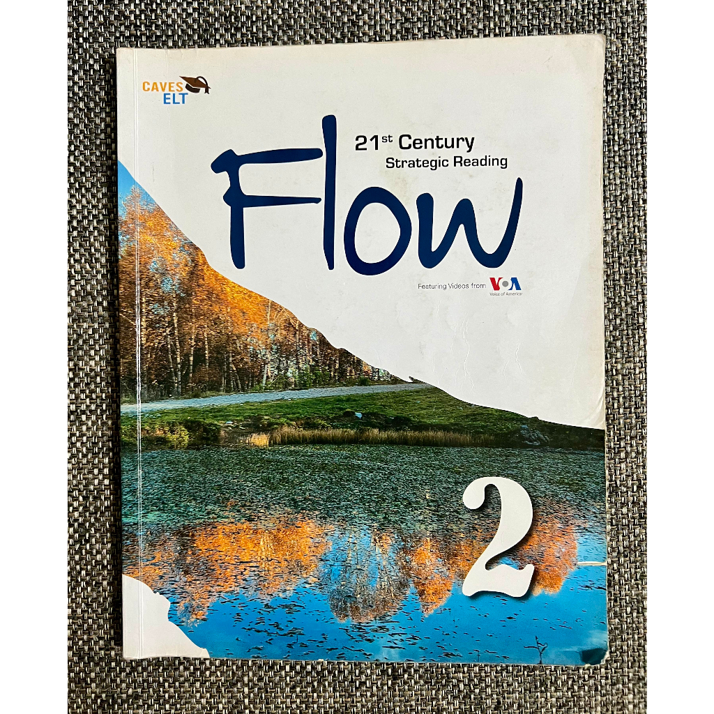Flow-21st Century Strategic Reading 2