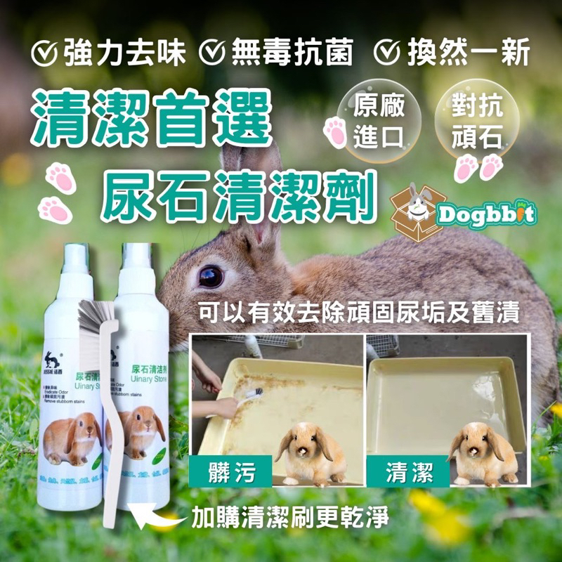 道格兔dogbbit | 兔子尿漬去除劑 寵物尿石清潔劑 寵物便盆清潔 兔子 天竺鼠 除尿石 尿漬 除尿垢 兔子清潔劑