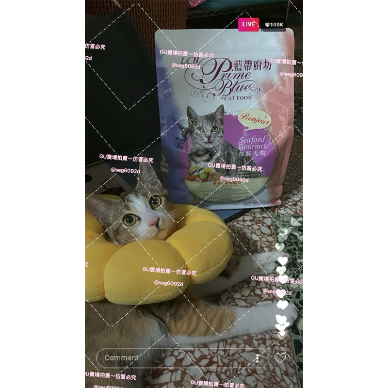 🐈海鮮大餐貓乾飼料🐱1.36公斤