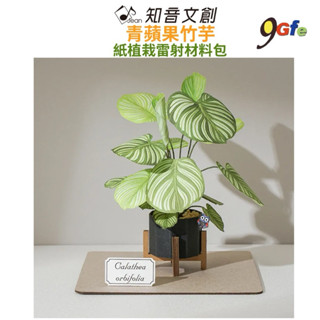 紙模型 紙植栽雷射材料包 青蘋果竹芋 9028410 紙風景 手作 擺飾 紙模型紙雕 裝飾 DIY 壓克力 壓克力展示盒