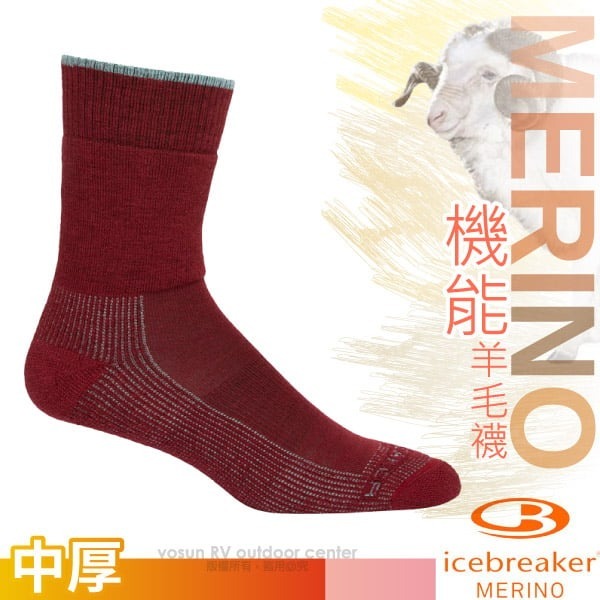 【Icebreaker】女 款保暖避震中筒美麗諾羊毛襪 Phd Hike+ 登山小腿襪 抗菌透氣運動襪_IB105114