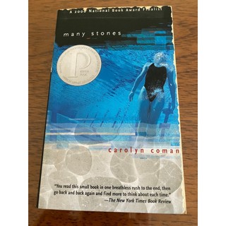 J9-1《好書321KB》【兒童英文小說】Many Stones/Carolyn Coman