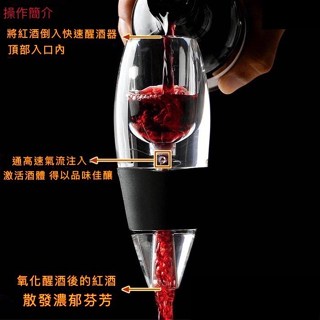 臺灣現貨 醒酒器 紅酒醒酒器 倒酒器 引酒器 分酒器 快速醒酒器 葡萄酒醒酒器 鷹嘴醒酒器