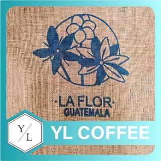 【咖啡友樂】瓜地馬拉特級花神咖啡豆La Flor︱臺中自家烘焙咖啡豆專賣店︱西區咖啡豆代工批發零售宅配【咖啡豆推薦預購】