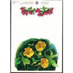 【全球郵幣】護票卡86年特366花卉－木本花 全新附包膜 (三日鑑賞)上品