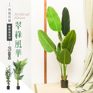比架王 模擬草植-綠植栽系列/翠綠風華(3款可選) /仿生/塑膠花/免澆水/室內植物/懶人盆栽/室內盆栽/落地植栽