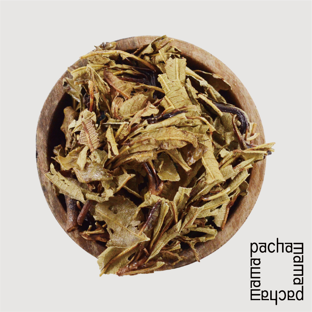 ESPpop-北美聖草Yerba Santa 20g｜Eriodictyon californicum｜祖父的草藥