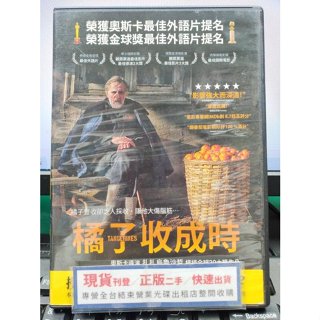 影音大批發-Y34-529-正版DVD-電影【橘子收成時】-連比特沃爾夫薩克 喬治納卡希哲(直購價)