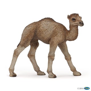 【法國PAPO純正品】50166 幼單峰駱駝_精緻模擬野生動物模型_益智教育 生日禮品 精品擺飾 自然保育_現貨