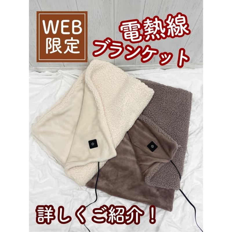【小肚皮日貨】日本3COINS USB電熱毯