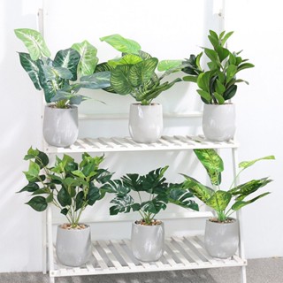 🌿北歐仿真花盆栽🌿 模擬龜背芋 西瓜葉 人造花 仿真植物 人造綠植 假樹 辦公室盆栽 植物擺飾 室內盆栽裝飾 網美拍照