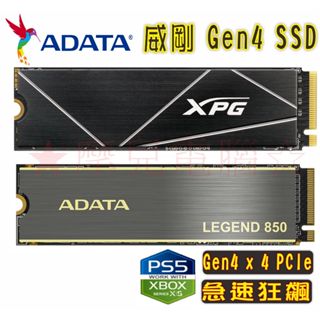 ★摩兒電腦☆威剛 XPG S70 LEGEND 850 512G 1T 2T Gen4 PCIe M.2 SSD固態硬碟