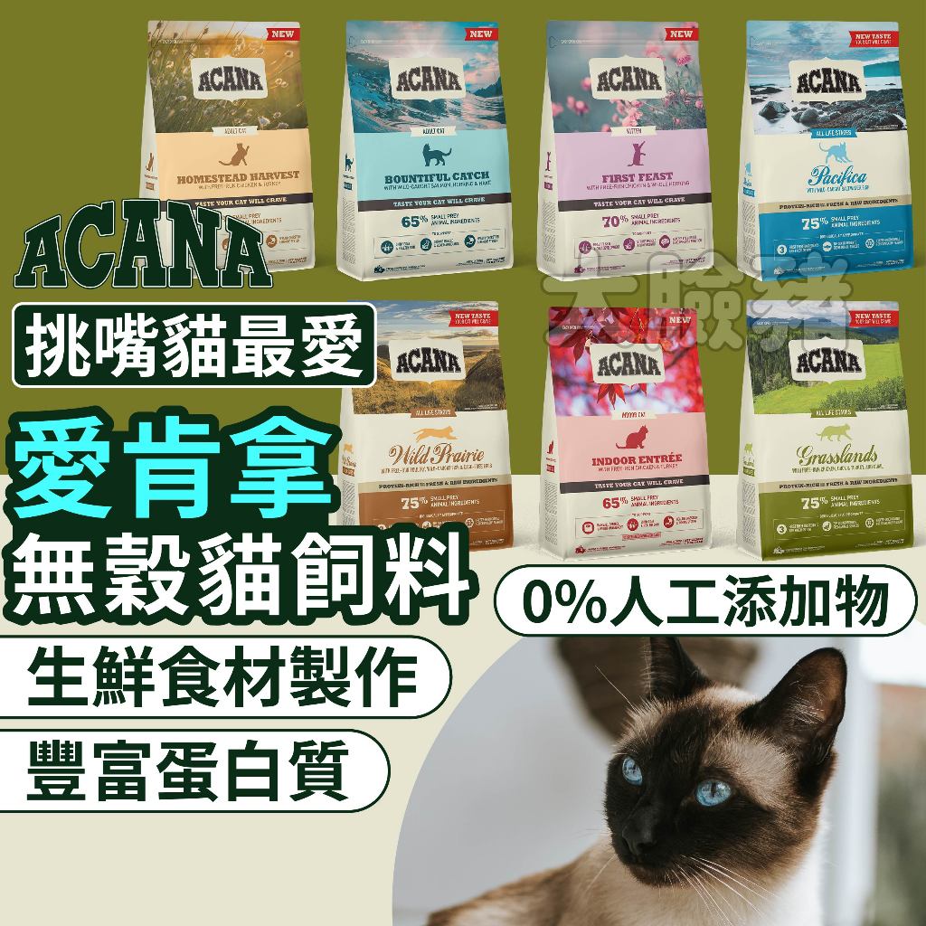 大臉豬(送吶一口零食*3)愛肯拿 ACANA愛肯拿貓飼料 ACANA愛肯拿貓咪飼料 貓無穀飼料 貓咪無穀飼料 多種魚