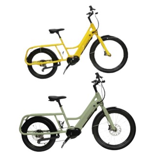 *Dosun CG135電輔多功能自行車-莫蘭迪綠/太陽黃-17吋/19吋 墊腳石購物網