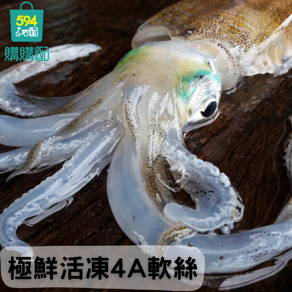 軟絲4A的價格推薦 - 2026年7月 | 比價比個夠BigGo