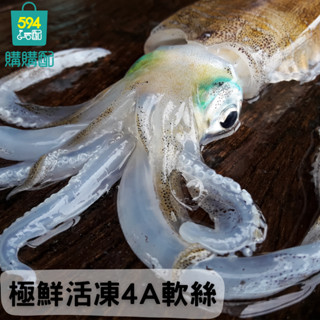 594購購配-極鮮活凍4A軟絲( 550G)
