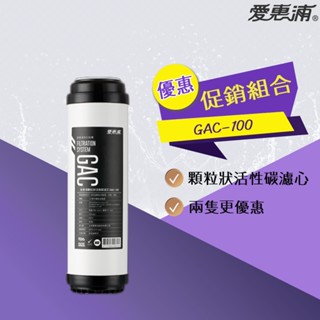 【思維康SWEETCOM】愛惠浦EVERPURE GAC100 GAC-100 顆粒活性碳濾心 公司貨/開發票/多件優惠