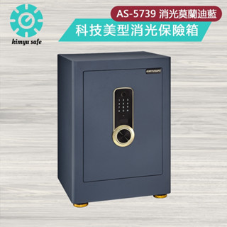 【金鈺保險箱臺北臺中桃園門市熱銷】AS-5739 科技美型質感消光莫蘭迪 家用辦公推薦 電容指紋&觸控密碼 保險櫃
