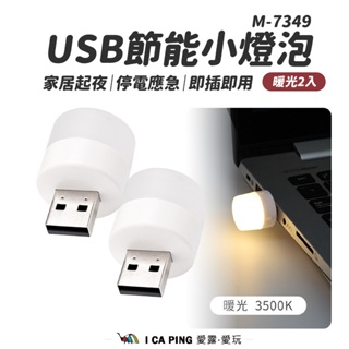 USB節能小燈泡(黃光二入)【樂活生活家】M-7349 燈串 氣氛燈 小夜燈 USB 照明燈 LED燈 小燈泡 泰山