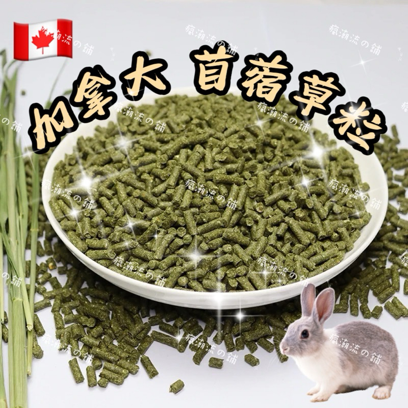 🔥現貨（火速出貨）加拿大 苜蓿粒 牧草 兔子飼料 天竺鼠飼料 苜蓿草