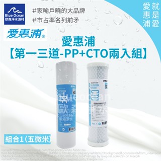 BlueOcean歐森】愛惠浦everpure/兩入組/一五微米PP/CTO碳棒/樹酯濾心/RO濾芯