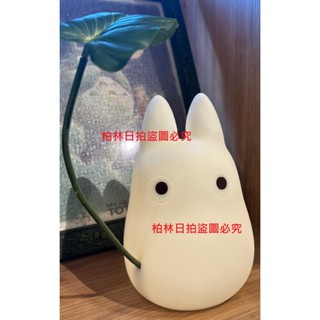 晴空日本小舖 現貨 日本 正版 宮崎駿 吉卜力 龍貓 totoro 小龍貓 夜燈 USB 充電式 環保 擺飾