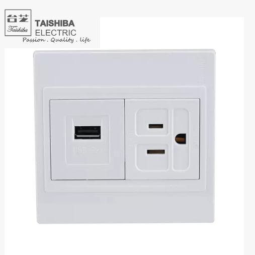 台芝TAISHIBA TGC1A05-2 連體單USB充電插座一單插座附接地
