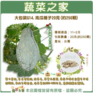 【蔬菜之家滿額免運】大包裝G14.南瓜種子20克(約250顆) 葉大莖粗，生長勢強旺，結果多，果實木瓜型