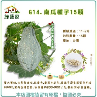 G14.南瓜種子15顆(葉大莖粗，生長勢強旺，結果多，果實木瓜型，果面平滑有黃藍色不規則斑紋，果肉色澤金黃)【綠藝家】
