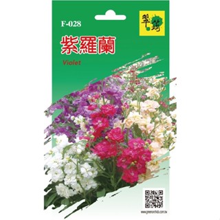 【翠筠官方直營】花卉種子F 紫羅蘭/康乃馨/勳章菊 種子 種籽 種苗 苗 菜園 菜圃 園藝 花卉 瓜果 香草 葉菜