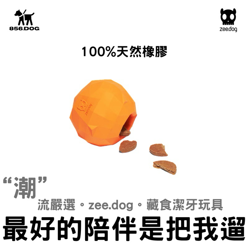 【856把我遛】 zeedog 橘子 抗焦慮 漏食 藏食 球玩具 啃咬玩具 益智玩具 寵物玩具