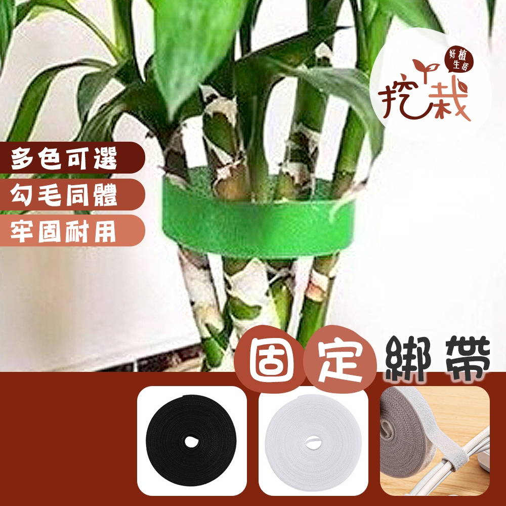 現貨 植物束帶【園藝魔帶】GDL0022▸植物綁帶▸植物束帶▸觀葉植物綁帶▸植物固定帶▸園藝綁帶▸植物固定繩