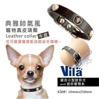 【VILA】吉娃娃專用純牛皮項圈 頸圈 小型迷你寵物犬 項圈 頸圈 寵物項圈 迷你狗頸圈 牛皮 真皮 皮革項圈