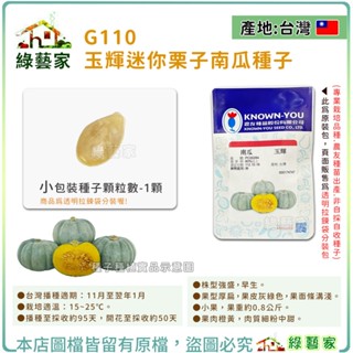 【綠藝家】G110.玉輝迷你栗子南瓜種子1顆 型美色佳貝貝南瓜，質地優良的西洋南瓜品種 果肉橙黃，肉質細粉中甜