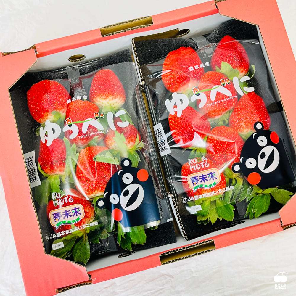 【舒果SoFresh 預購】日本熊本/佐賀/福岡草莓 隨機出貨 2P/盒/約500g 日本空運草莓 進口水果 含運