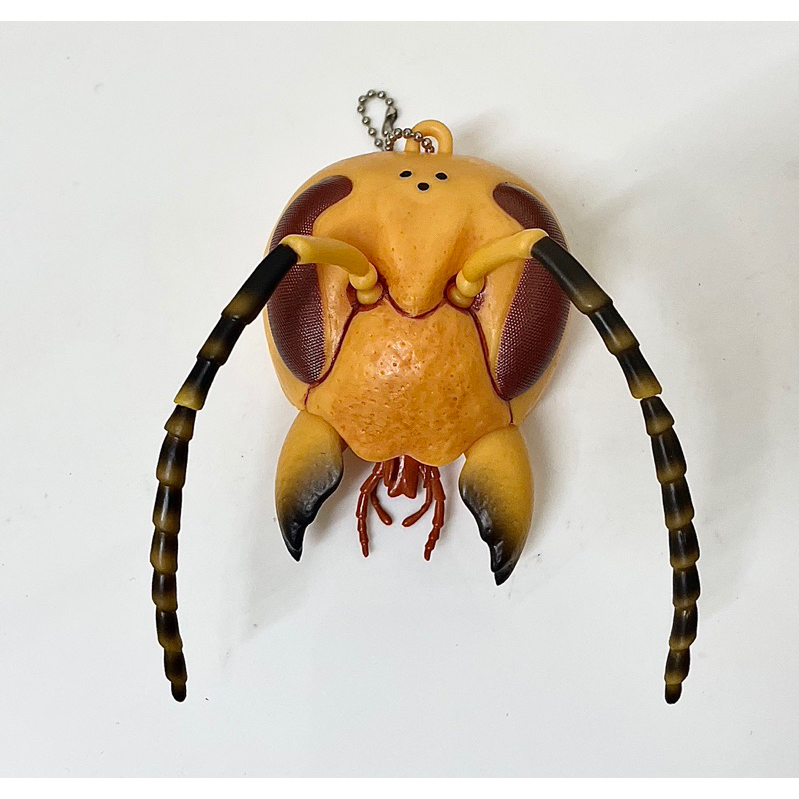 TAMAKYU-放大100倍螞蟻與蜜蜂/巨大頭部扭蛋吊飾/單售剩正常色款式