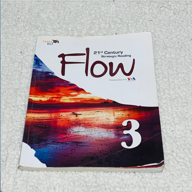 21st Century Strategic Reading Flow 3
