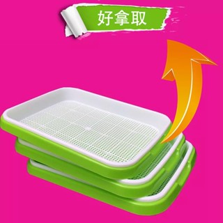 太陽能量組 種菜小幫手 附保濕蓋-雙層加密網格育苗盤種植盤+向日葵花苗種子