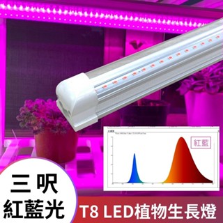 【君沛植物燈】LED植物燈 T8燈管植物燈 3呎25W 紅藍光譜 植物生長燈 適合鹿角蕨育苗、玫瑰