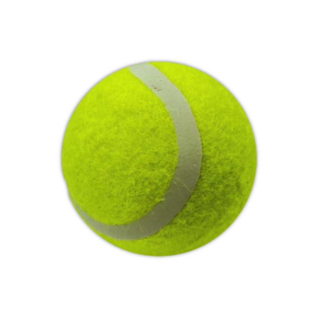 【GO 2 運動】現貨 網球 娛樂等級 按摩網球 寵物網球 簽名網球  桌椅 腳套