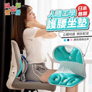 現貨特賣 日本熱銷人體工學護腰坐墊 坐墊 靠墊 護腰坐墊