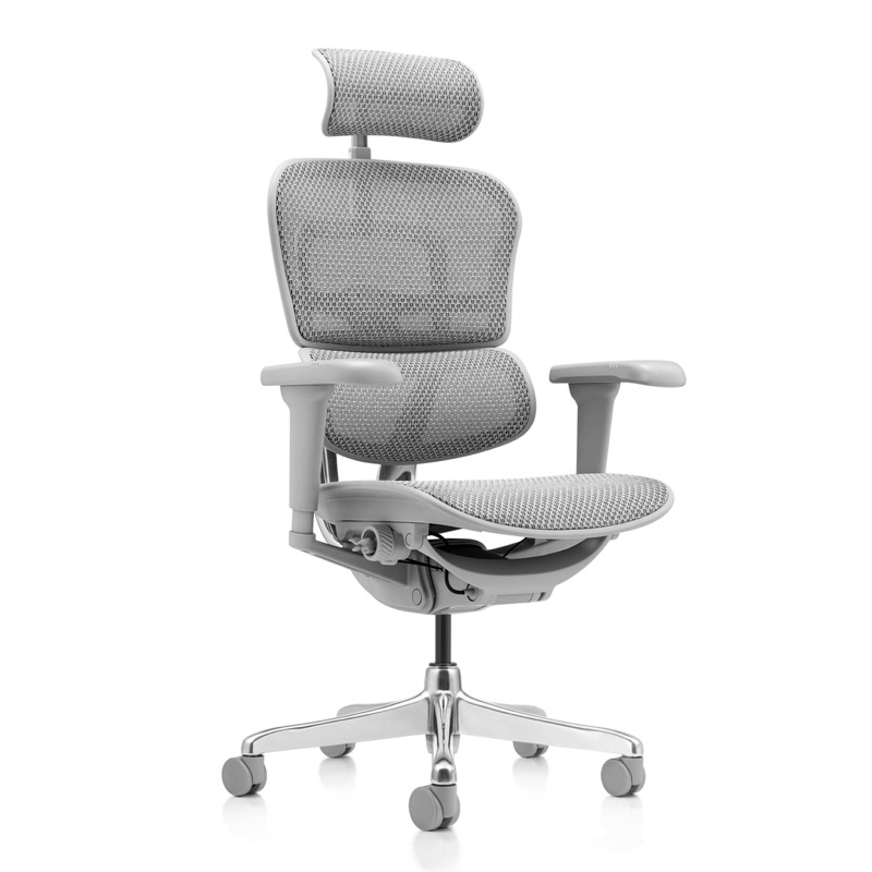 【現貨】🔥Ergohuman111 2.0🔥雄鷹版二代白框版⭕一年保固⭕網椅 辦公椅 電腦椅 人體工學椅 電競椅