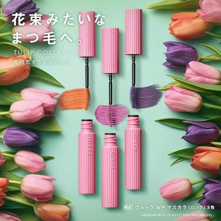 #限定商品# FASIO 2024ss 季節限定色 超強防水睫毛膏系列 3款 2023年7月 眼妝 日本彩妝 日本專櫃