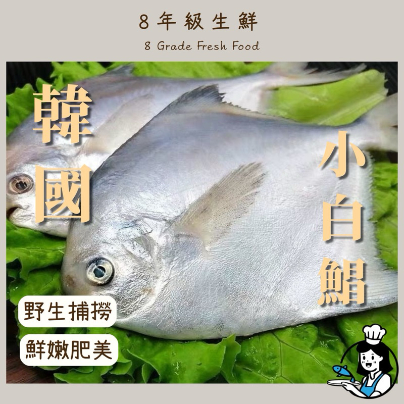 白鯧 小白鯧 300克 3至4隻 年菜 魚 全家999免運 【8年級生鮮】