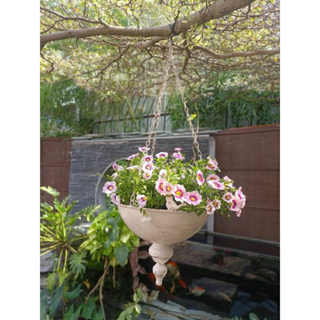 Zakka 日雜風格 復古鉄藝小鳥吊籃 庭園裝飾 花籃 花器白色