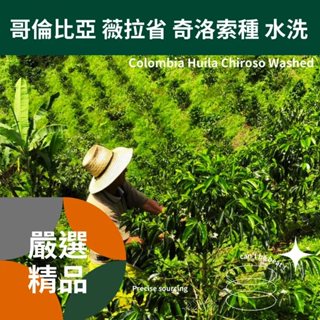 【生豆】哥倫比亞 薇拉省 奇洛索種 水洗 《桀米五日鮮咖啡生豆工廠×尋豆~只為飄香臺灣》1kg生咖啡豆