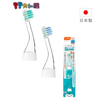Combi 康貝 Teteo電動牙刷替換刷頭(2入) 寶寶牙刷 幼兒牙刷 適齡6m+ 原廠公司貨 寶寶共和國