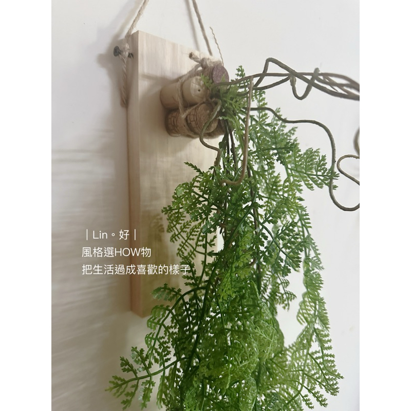 ｜Lin。好｜垂吊感蕨類 人造植物。仿真植物  實木掛板。台灣現貨