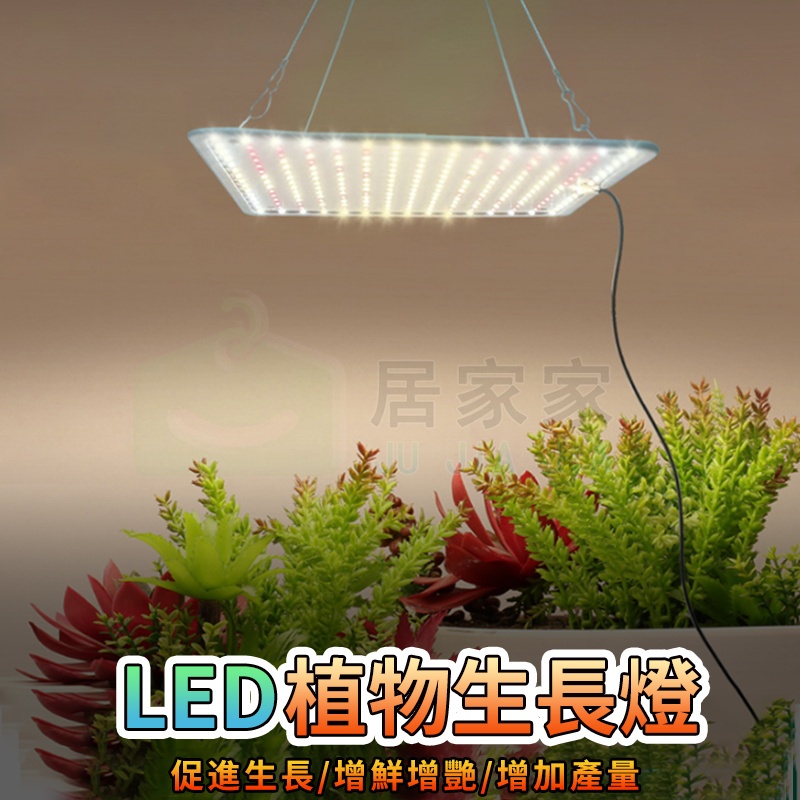 【居家家】植物燈 輕薄LED植物生長燈 1000W 量子板補光燈 大棚植物燈 多肉育苗燈 全光譜植物燈 植物補光燈