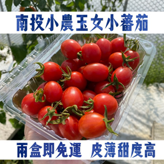 南投小農玉女番茄 新鮮水果 現採出貨 蔬果 當天出貨
